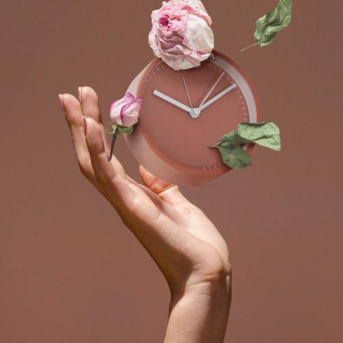 Pelvic Physiotherapy for Menopause